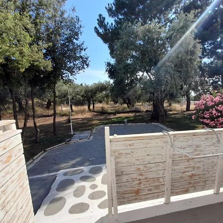 Hotel Orama Thassos Skála Sotíros Zewnętrze zdjęcie