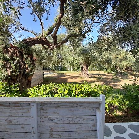 Hotel Orama Thassos Skála Sotíros Zewnętrze zdjęcie